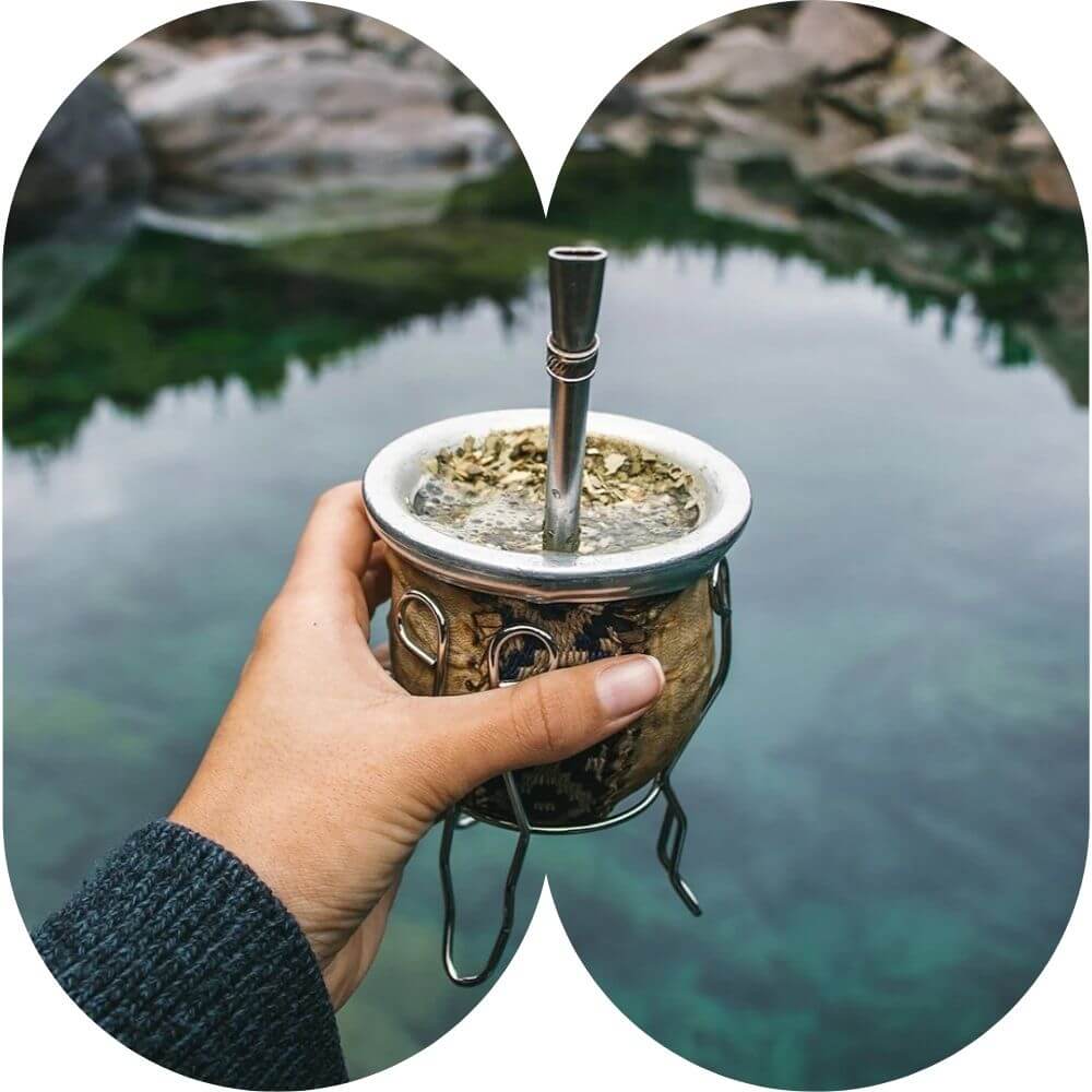 yerba mate ocean